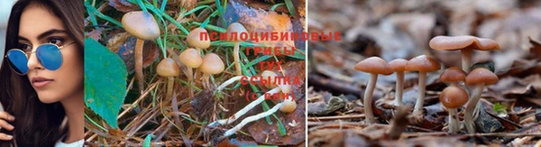 спиды Магадан