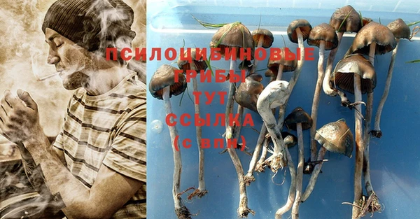 герыч Майский