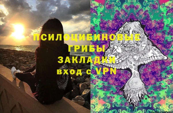 мдпв Медвежьегорск
