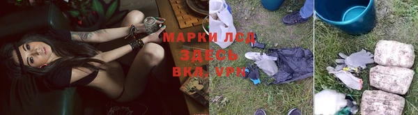 твердый Медногорск